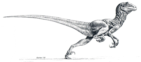 Deinonychus - The Inspiration Behind a Dinosaur Renaissance